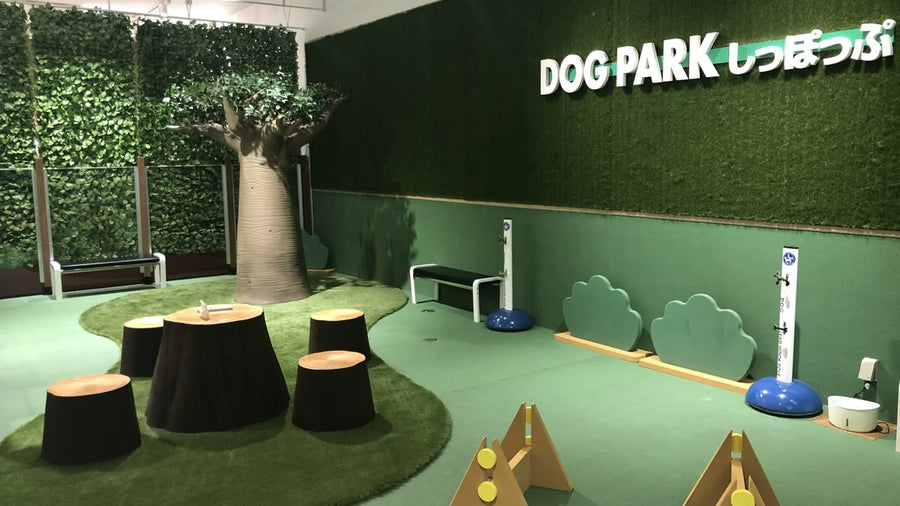 Galeria Cachorrandia