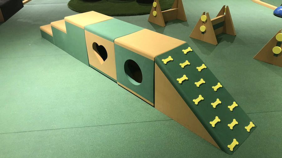 Galeria Cachorrandia