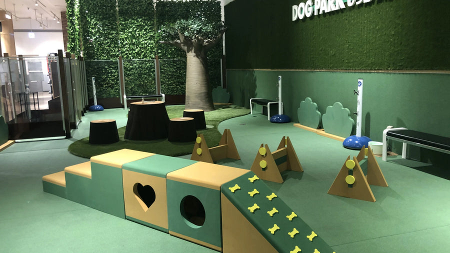Galeria Cachorrandia