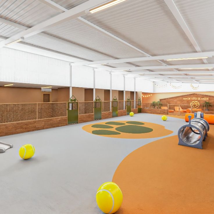 Galeria Cachorrandia