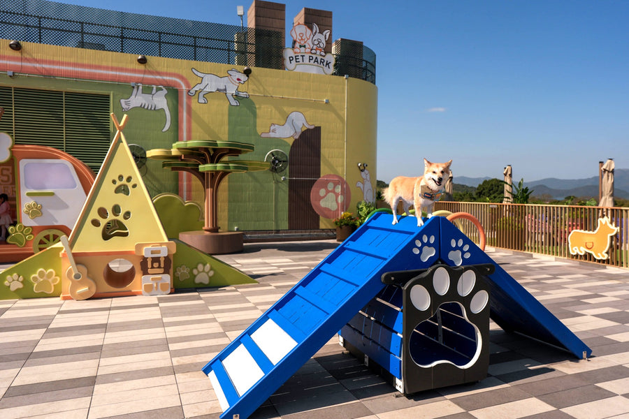 Galeria Cachorrandia