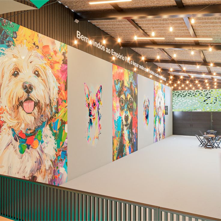 Galeria Cachorrandia