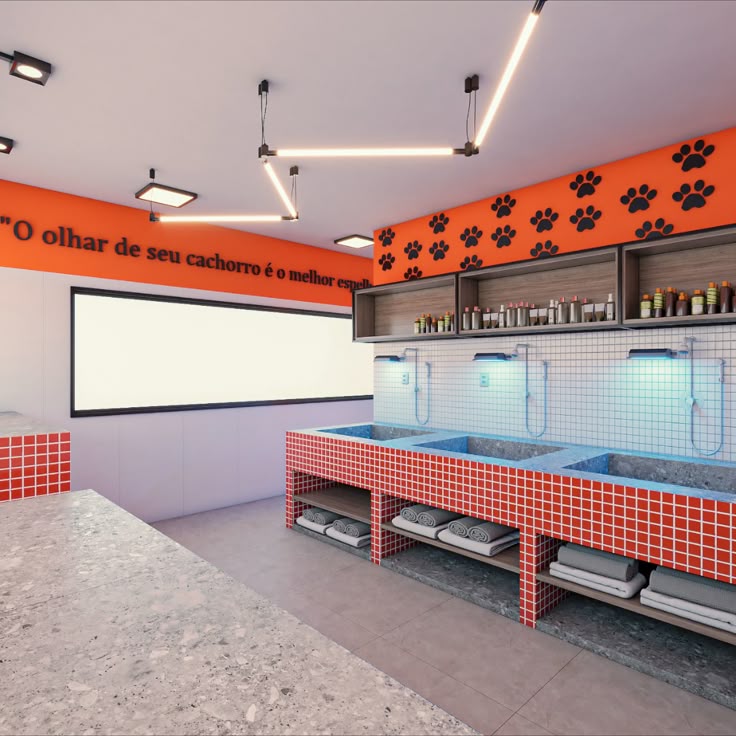 Galeria Cachorrandia