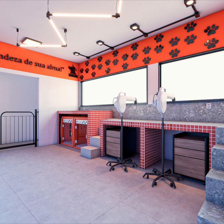 Galeria Cachorrandia