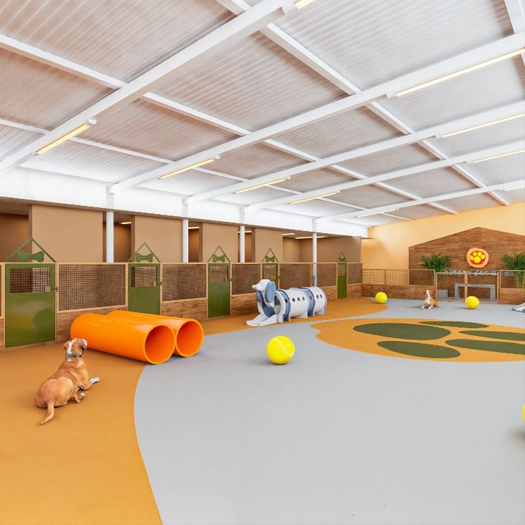 Galeria Cachorrandia