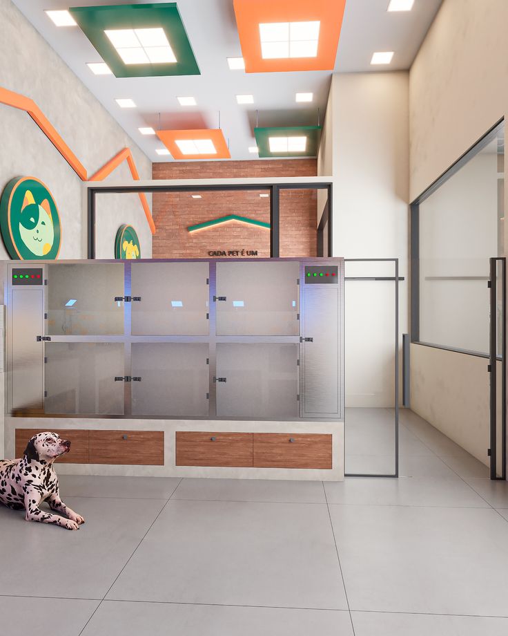 Galeria Cachorrandia
