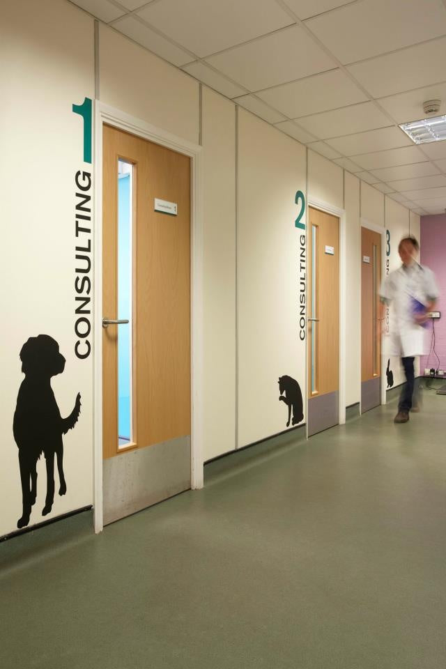 Galeria Cachorrandia