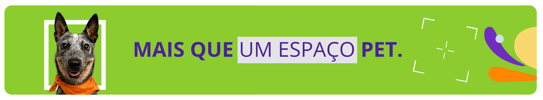 Banner Cachorrandia