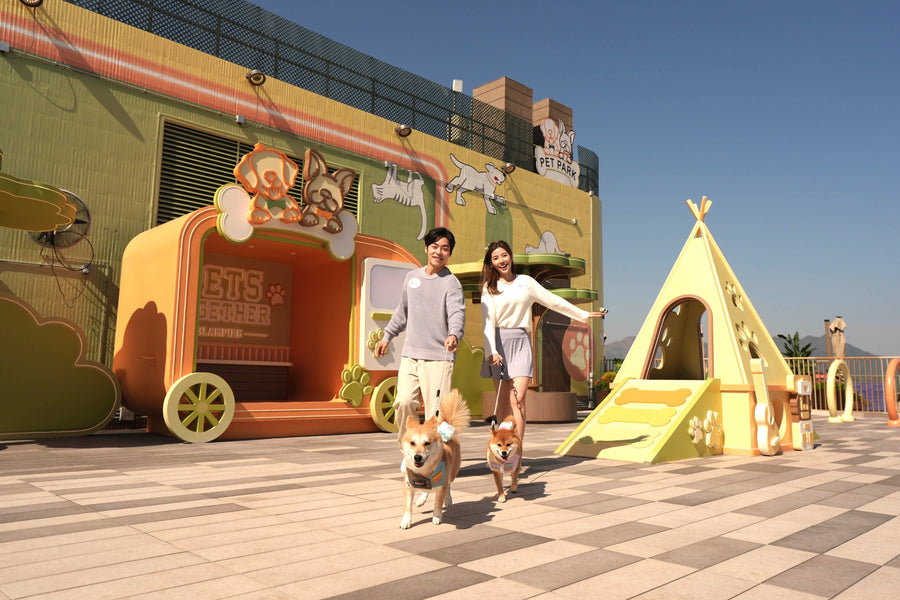 Galeria Cachorrandia