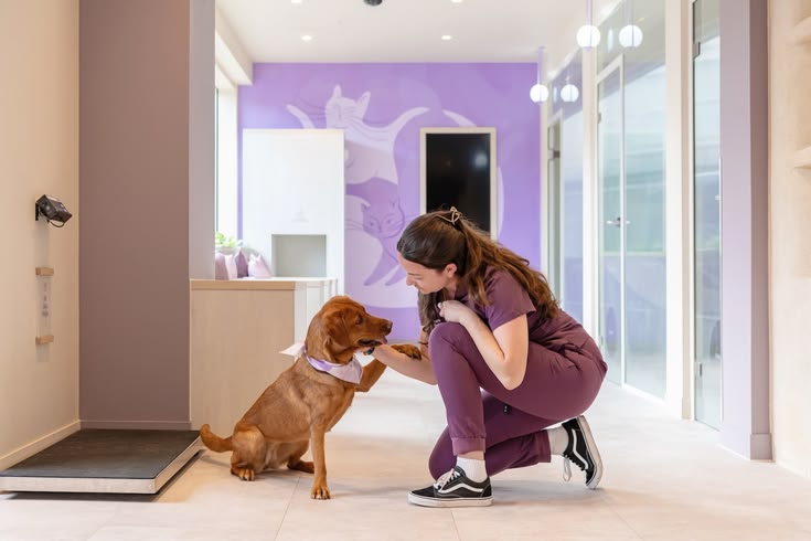 Galeria Cachorrandia
