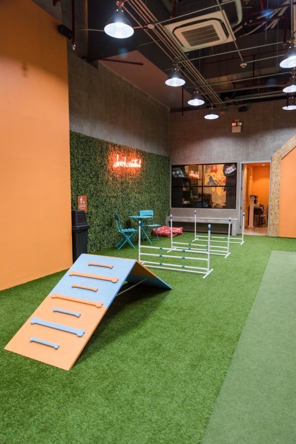 Galeria Cachorrandia